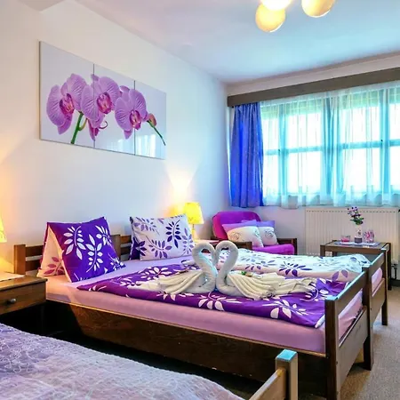 Stara Skola Na Sumave Otel 2*
