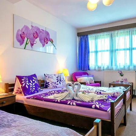 Stara Skola Na Sumave Hotel 2*